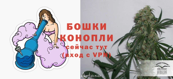 apvp Костерёво