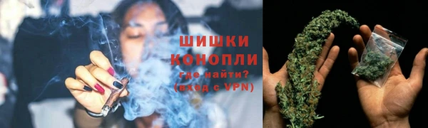ECSTASY Коряжма